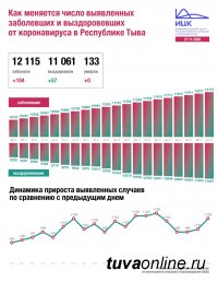 В Туве за сутки выявлено 104 новых случая инфицирования Covid, по России - 27543