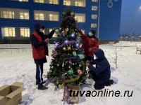 В Кызыле перед ковид-госпиталем активисты ОНФ установили новогоднюю елку