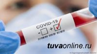 В Туве на 28 декабря зарегистрировано еще 8 летальных случаев от COVID-19