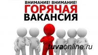 В Туве ищут директора в один из сельскохозяйственных ГУПов