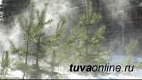 В Туве отступили морозы: днем 11 января днём местами температура «поднимется» до – 8°С, в горах метель до 17-22 м/с