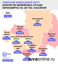В Туве один из самых высоких в Сибири (после Алтая) показатель переболевших Covid на 100 тысяч населения