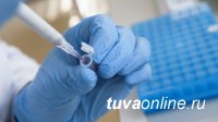 В Туве к 24 января выявили рекордно низкое число инфицированных COVID-19
