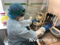 В Туве к 28 января госпитализировали 12 больных с COVID-19