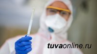 В Туве к 4 февраля с начала 2021 года выявили 647 инфицированных COVID-19