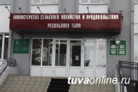 В Туве, где пока застраховано только 3% голов скота, нужно увеличить объемы агрострахования