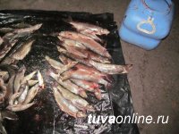 В Туве будут судить браконьеров, незаконно выловивших рыбу на озере в Туве