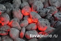 Власти Кызыла организовали продажу бездымного брикетированного угля