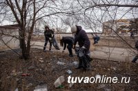 В первый выход месячника общегородских субботников в Кызыле собрали 161 кубометр мусора