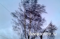 В Туве 29 марта местами западный ветер усилится до 17 м/с В Туве 29 марта местами западный ветер усилится до 17 м/с