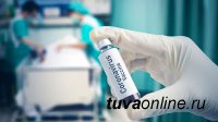 В Туве с начала года коронавирусом заразились 966 человек, 22 - скончались