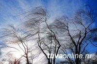 В Туве 9 апреля ожидается сильный ветер