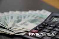 В Туве более 10 тысяч жителей должны отчитаться о доходах