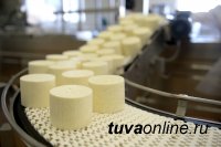 В Туве в 2022 году планируют создать сеть сыроваренных производств