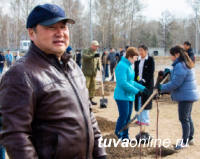 В День всероссийского субботника в Семейном парке Кызыла высажены 100 саженцев рябины