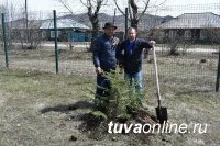 Минстрой Тувы и местные власти Пий-Хема планируют защитить благоустройство главного парка города по федеральной программе