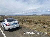 В Туве на трассе Р-257 в ДТП разбился 36-летний водитель
