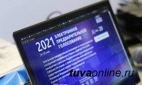 В Туве при определении кандидата для участия в выборах в Госдуму в первые два дня на сайте pg.er.ru проголосовало более 11000 человек