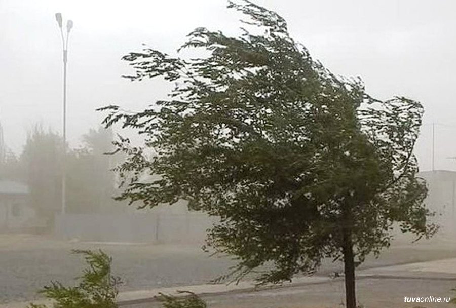 В Туве снова ожидаются сильные дожди и ветер » Тува-Онлайн