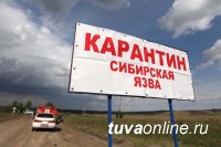 Жителя Тувы проверяют на сибирскую язву