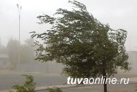 В Туве снова ожидаются сильные дожди и ветер