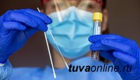 В Туве за неделю выявлено 48 заболевших COVID (на 13 случаев больше, чем неделей ранее)