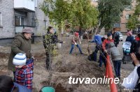 В столице Тувы стартовал конкурс "Цветущий Кызыл"