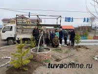 К 100-летию Тувинской Народной Республики посажено 16 913 саженцев