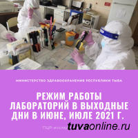 Минздрав Тувы опубликовал режим работы лабораторий для сдачи ПЦР-анализа и ИФА