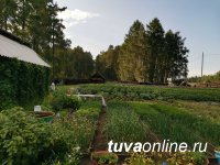 В Тоджинском кожууне Тувы по инициативе местных депутатов будут развивать огородничество