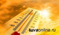Синоптики прогнозируют сегодня в Кызыле 35-37 градусов жары