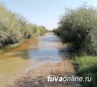 Уровень воды в реке Тес на юге Тувы поднялся. Отдыхающих просят воздержаться от поездок на озеро Торе-Холь