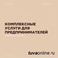 В Минэкономики Тувы напомнили о возможности получения поддержки для бизнеса Тувы