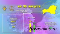 Последние три дня в Туве приостановилось ежедневное снижение количества заболевших Covid