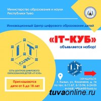 Юных кызылчан с 5 до 18 лет приглашают в IT-куб