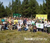 В Туве в День акции "Сохраним лес" посадили 20 000 сосен
