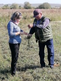 Ученые помогают сельхозпредприятиям Тувы в борьбе за урожайность зерновых и продуктивность скота Ученые помогают сельхозпредприятиям Тувы в борьбе за урожайность зерновых и продуктивность скота