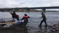 В Кызыле спасли спрыгнувшую с Коммунального моста девушку
