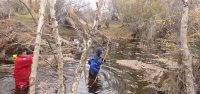 Вышел покосить сено и пропал: в Эрзинском районе Тувы девятый день ищут пропавшего в лесу человека
