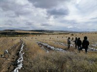 Студенты ТувГУ помогли в восстановлении реликтового Балгазынского соснового бора