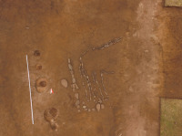 В Туве с воздуха обнаружено гигантское древнее изображение быка