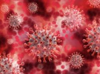 В Хакасии за прошедшую субботу умерли от коронавируса 5 человек