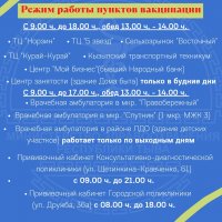 В Кызыле открыты два дополнительных пункта вакцинации - в ТД "Норзин" и Центре занятости
