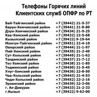 ОПФР по Республике Тыва сообщает: услуги можно получить дистанционно