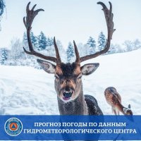 В Туве в течение суток 3 февраля сохраняются морозы до -43°С