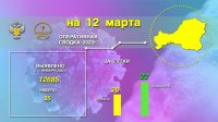 В Туве за сутки выявлено 20 новых случаев заболевания COVID-19. С начала года инфекция унесла жизни 35 человек