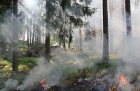 Рослесхоз спрогнозировал высокую вероятность пожаров в апреле в Туве