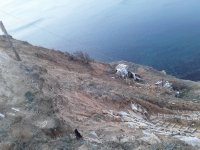 Житель Тувы переехал в Анапу, собрал из найденных на свалке стройматериалов "дом" с видом на море