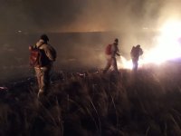 В Туве из-за пожара после сжигания сухой травы погиб человек