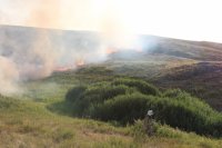 В Пий-Хемском районе Тувы из-за лесного пожара ввели режим ЧС